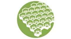 Решетки для газона